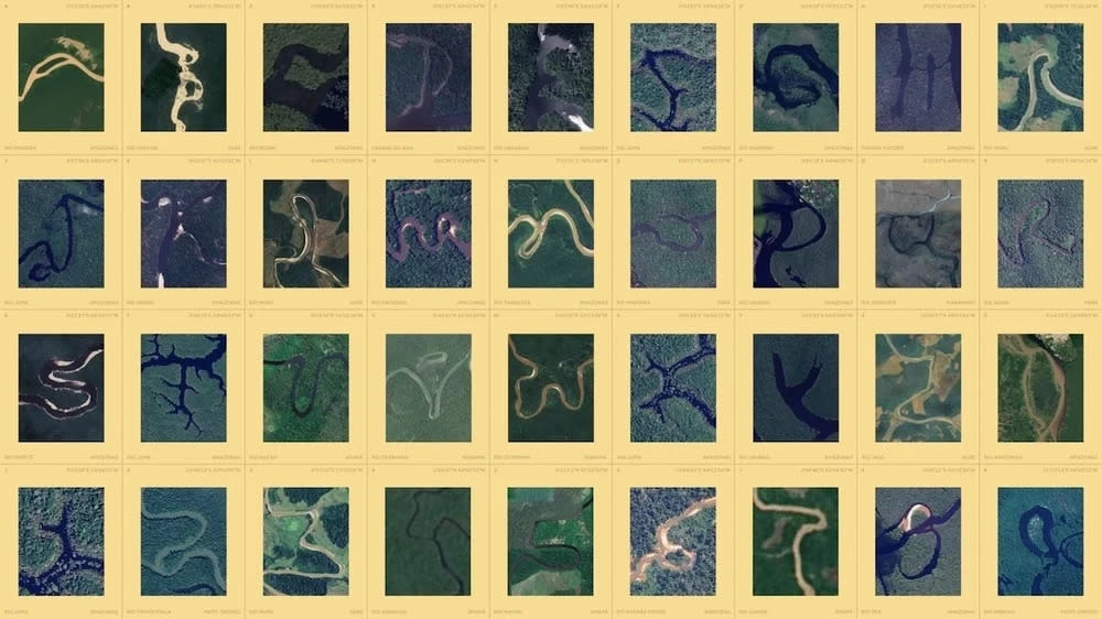 Grafik Amazonia prägnante Flussverläufe